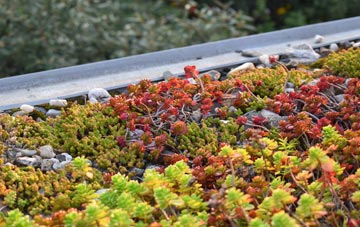 the cost of Kettlester green roof installation